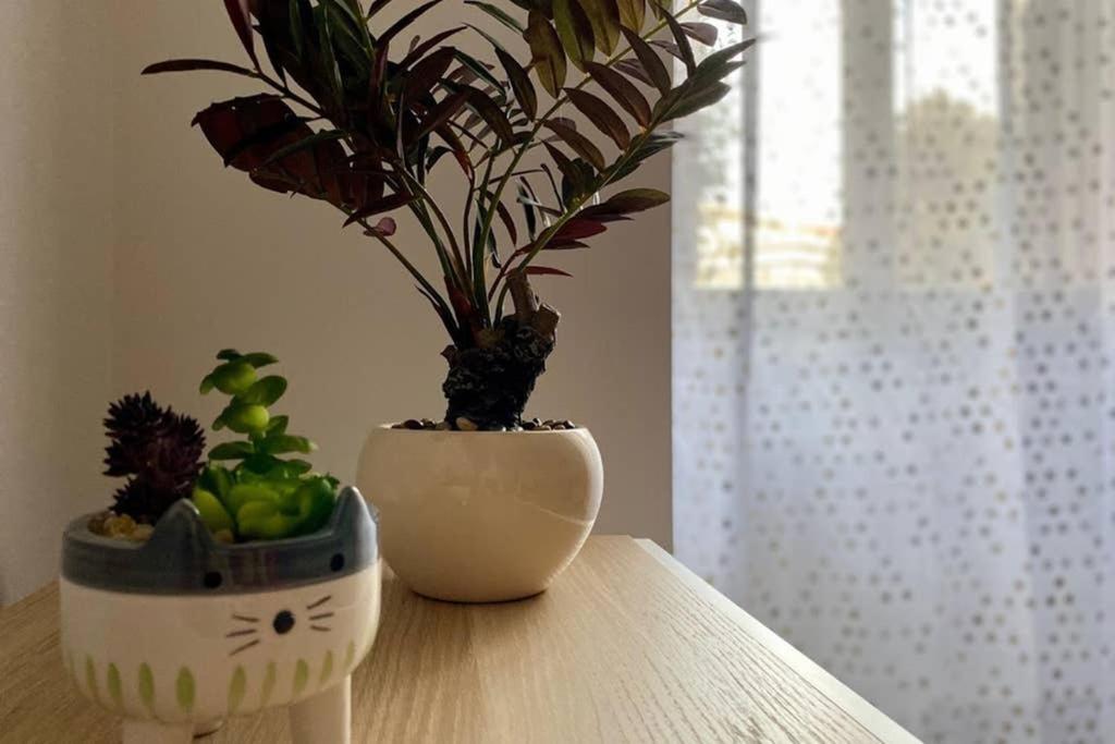 Central Modern Apartment Rome -Locazione Turistica- ภายนอก รูปภาพ